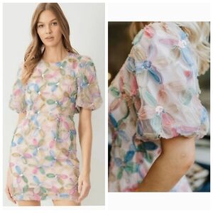 Entro Carina Floral Mesh 3D Flowers Mini Dress Medium